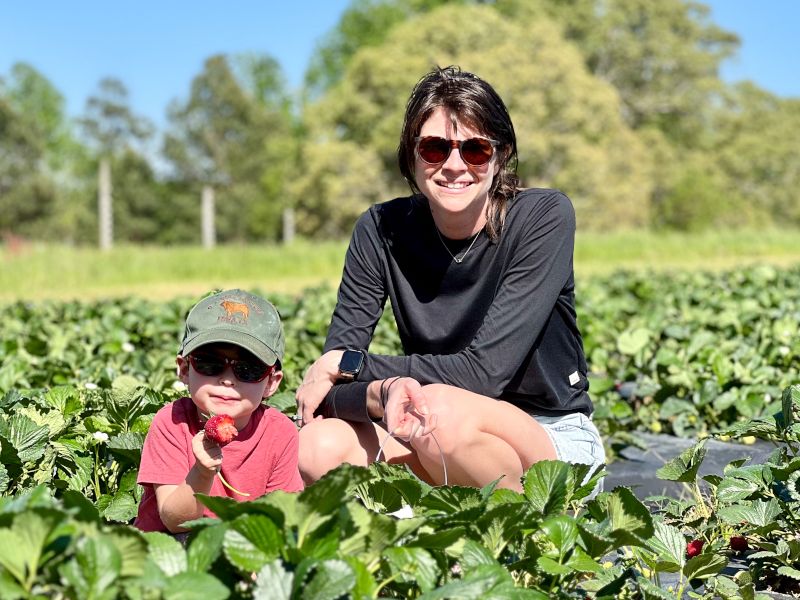 Picking Local Strawberries