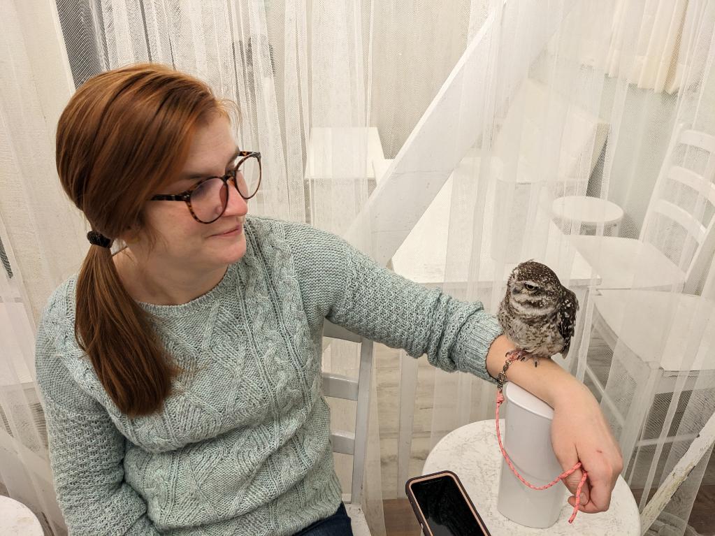 Visiting an Owl Cafe