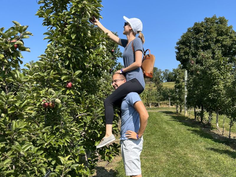 Apple Picking