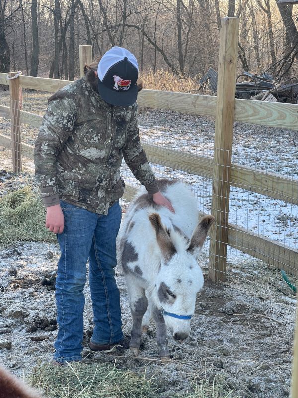 Cameron With Our Mini Donkey