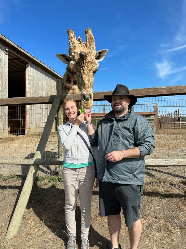 Feeding a Giraffe