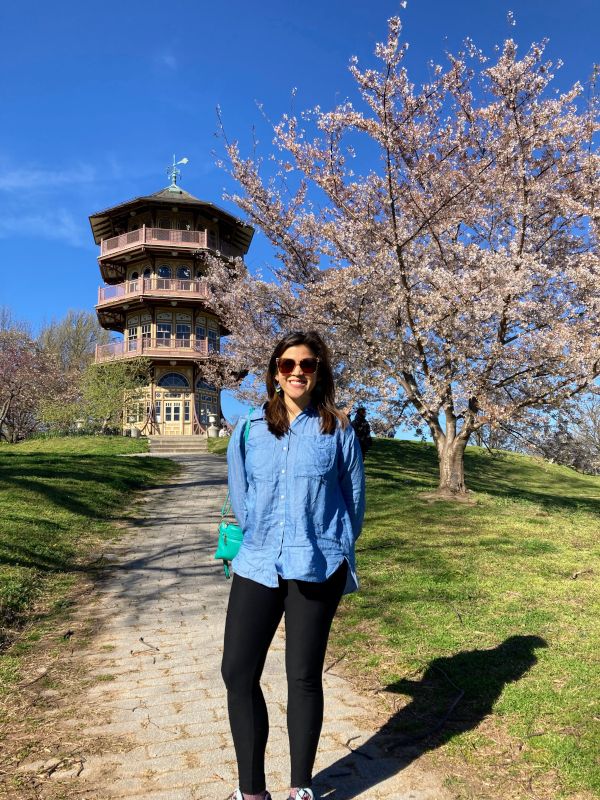 At a Local Landmark During the Cherry Blossom Celebration